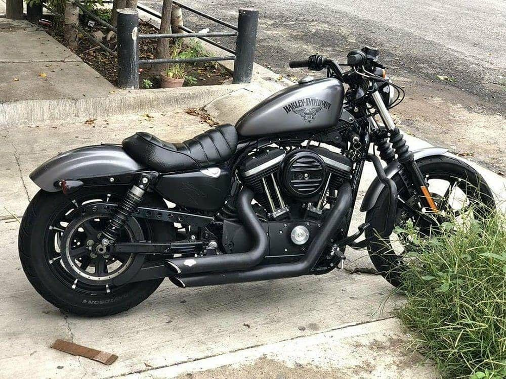 Best Harley-Davidson Bikes for Beginners  jobaao.com
